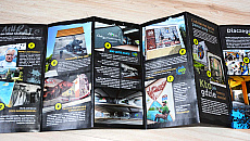 Historia Ełku na ścianach kamienic. Powstała interaktywna mapa murali Historia Ełku na ścianach kamienic. Powstała interaktywna mapa murali